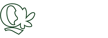 Tłumacz Puławy